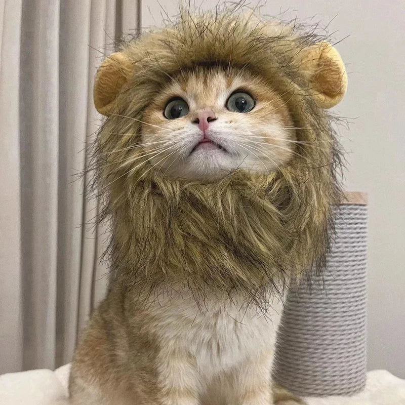 Lion Mane Cat Wig – Funny Pet Costume with Ears | Cosplay Hat for Cats & Small Dogs | Cute Pet Cap for Parties & Photos