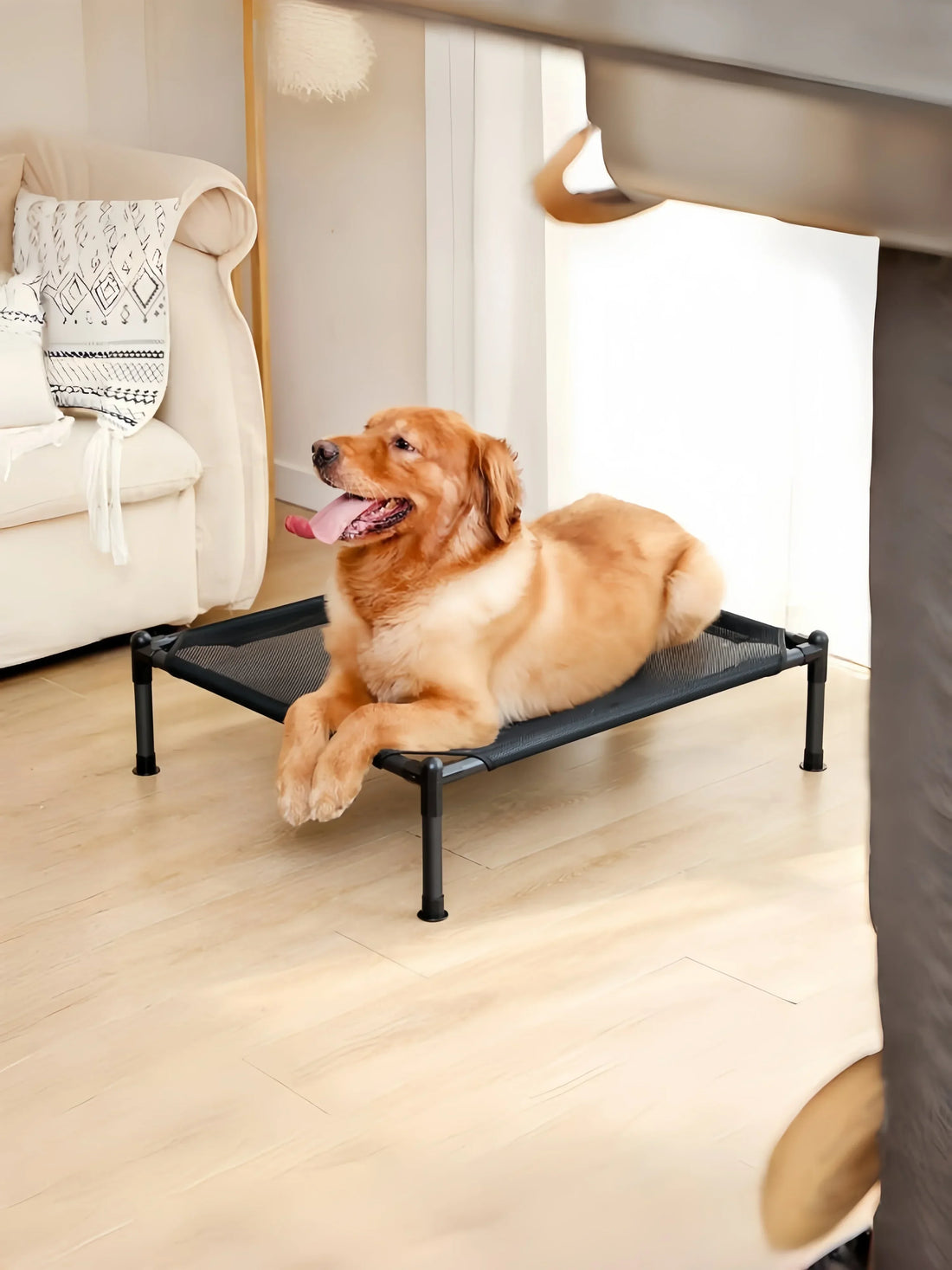 Elevated Folding Pet Bed – Portable Dog & Cat Camping Cot | Removable & Washable Cover | All-Season Kennel for Small to Medium Pets