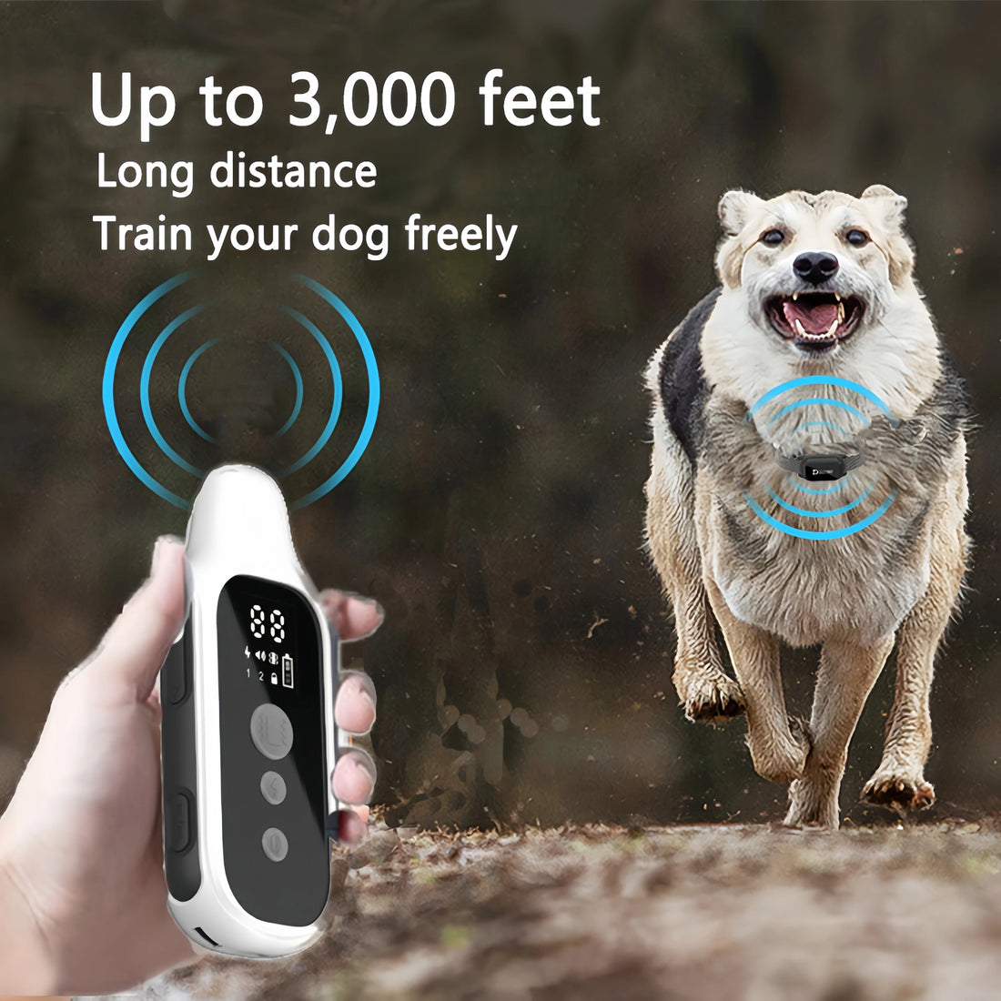 800m Waterproof Dog Training Collar with Remote – Rechargeable Electric Shock, Vibration & Beep Modes – LCD Display, Adjustable Nylon Strap for Small, Medium, and Large Dogs