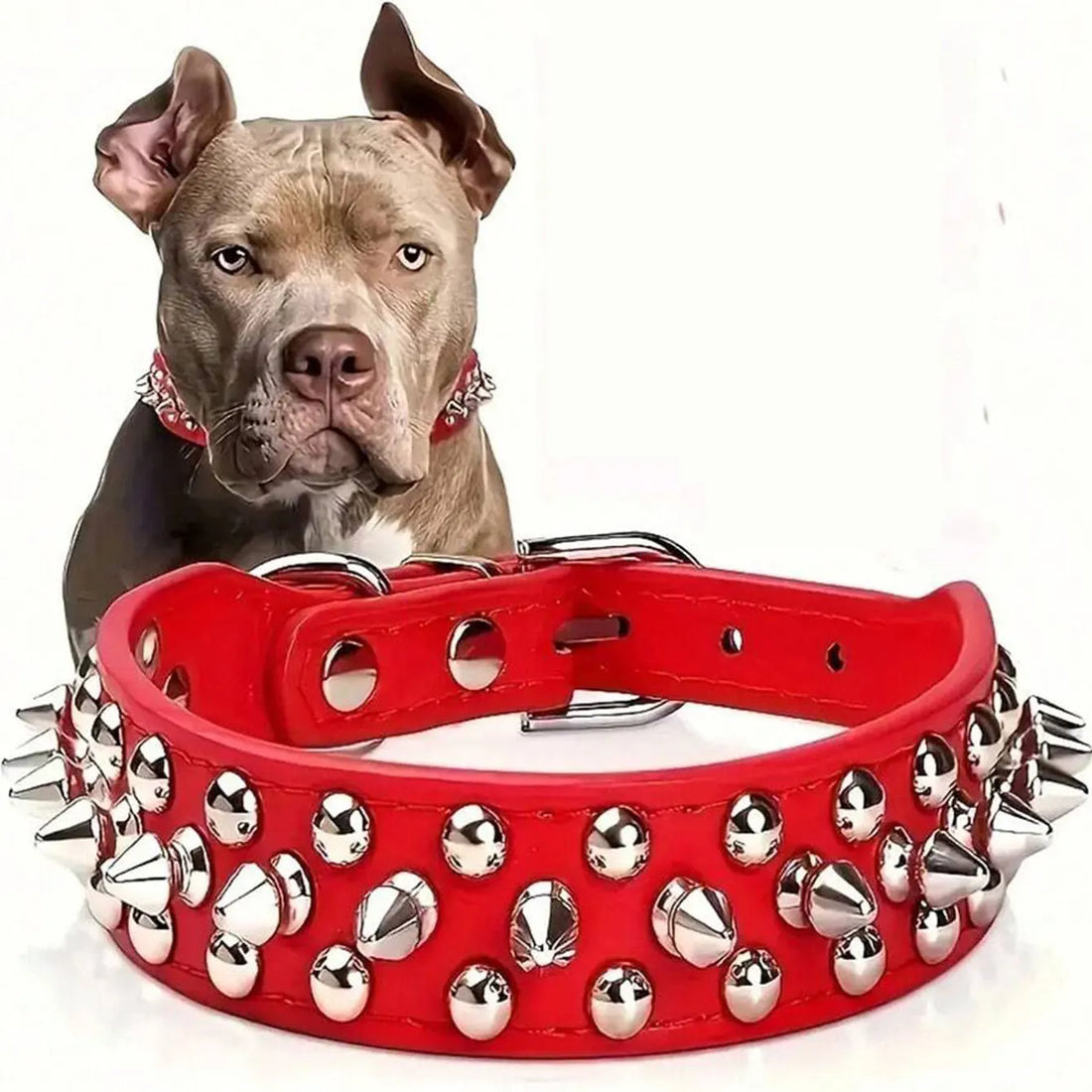 Dog Adjustable Rivet Collar