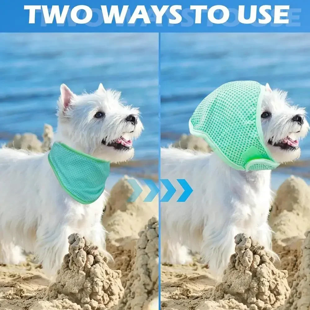 Cooling Bandana for Dogs – Super Absorbent Ice Towel Collar with Adjustable Carabiner | Reusable Summer Cooling Scarf for Medium & Large Dogs
