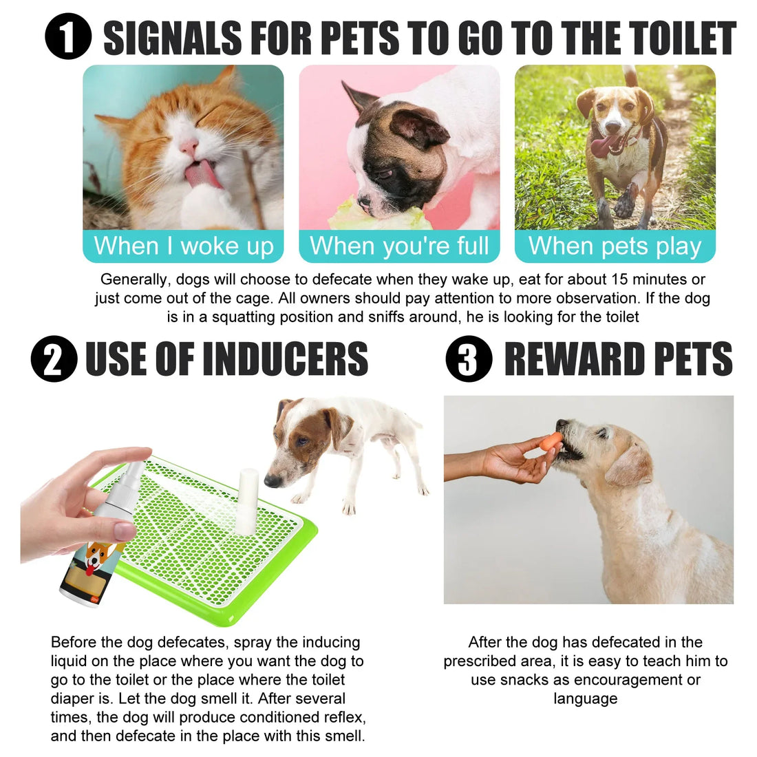Pet Potty Training Spray for Dogs & Cats – 30ml Toilet Training Aid for Puppies, Kittens, Indoor & Outdoor Use – Urine & Poop Location Attractant – Defecation Inducer
