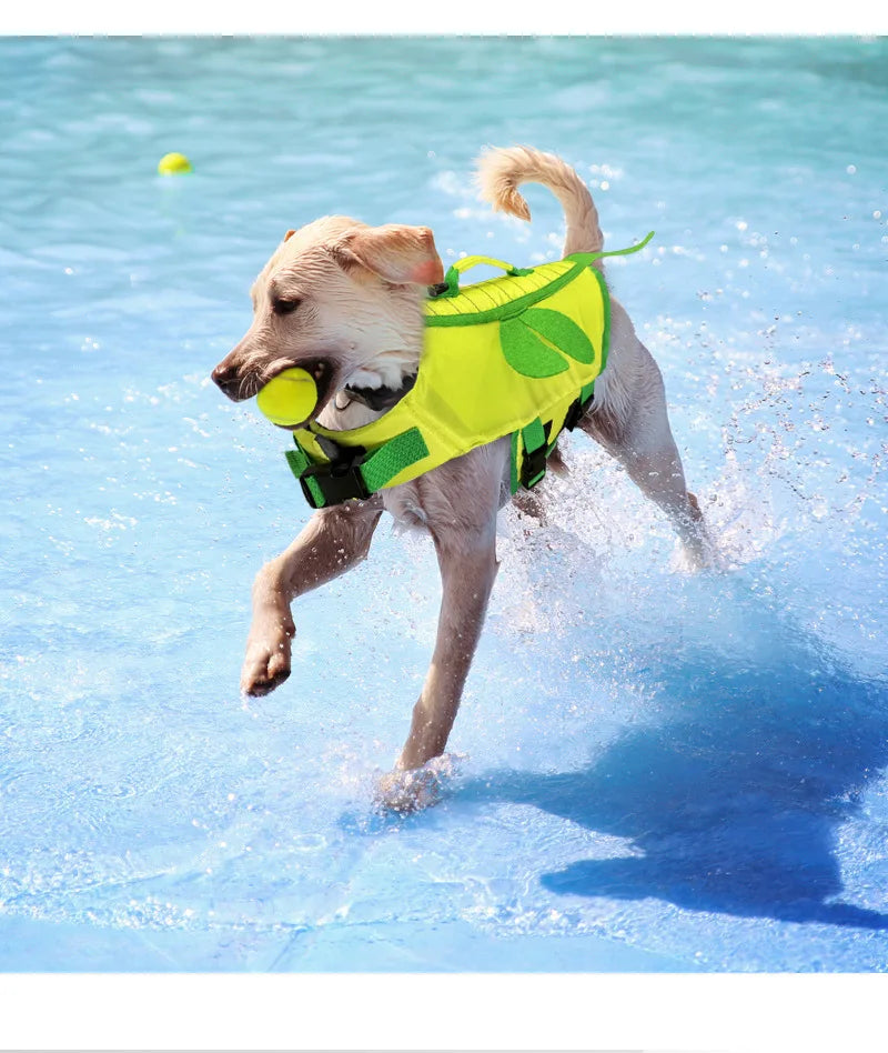 Cute Bee & Dragonfly Dog Life Jacket – Waterproof Safety Vest for Cats & Small Dogs