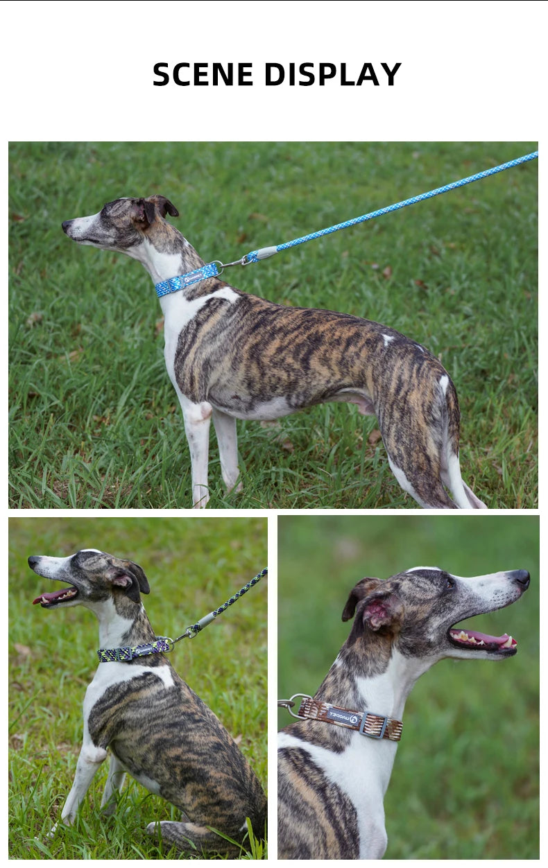 Durable Dog Collar