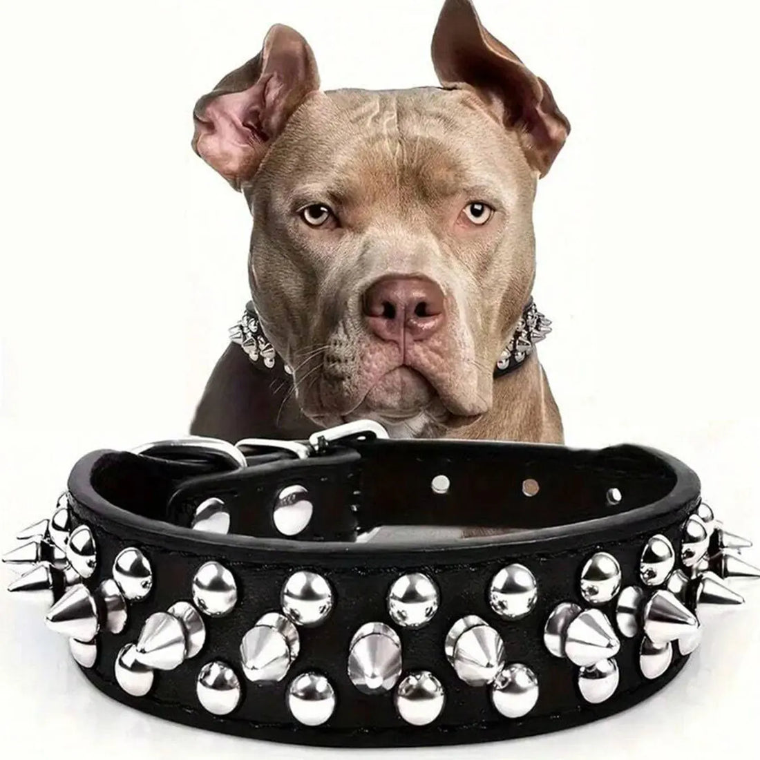 Dog Adjustable Rivet Collar