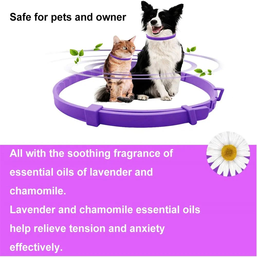 Pet Calm Collar – Adjustable, Waterproof Calming Collar for Dogs & Cats with Lavender & Chamomile (Lasts Up to 60 Days