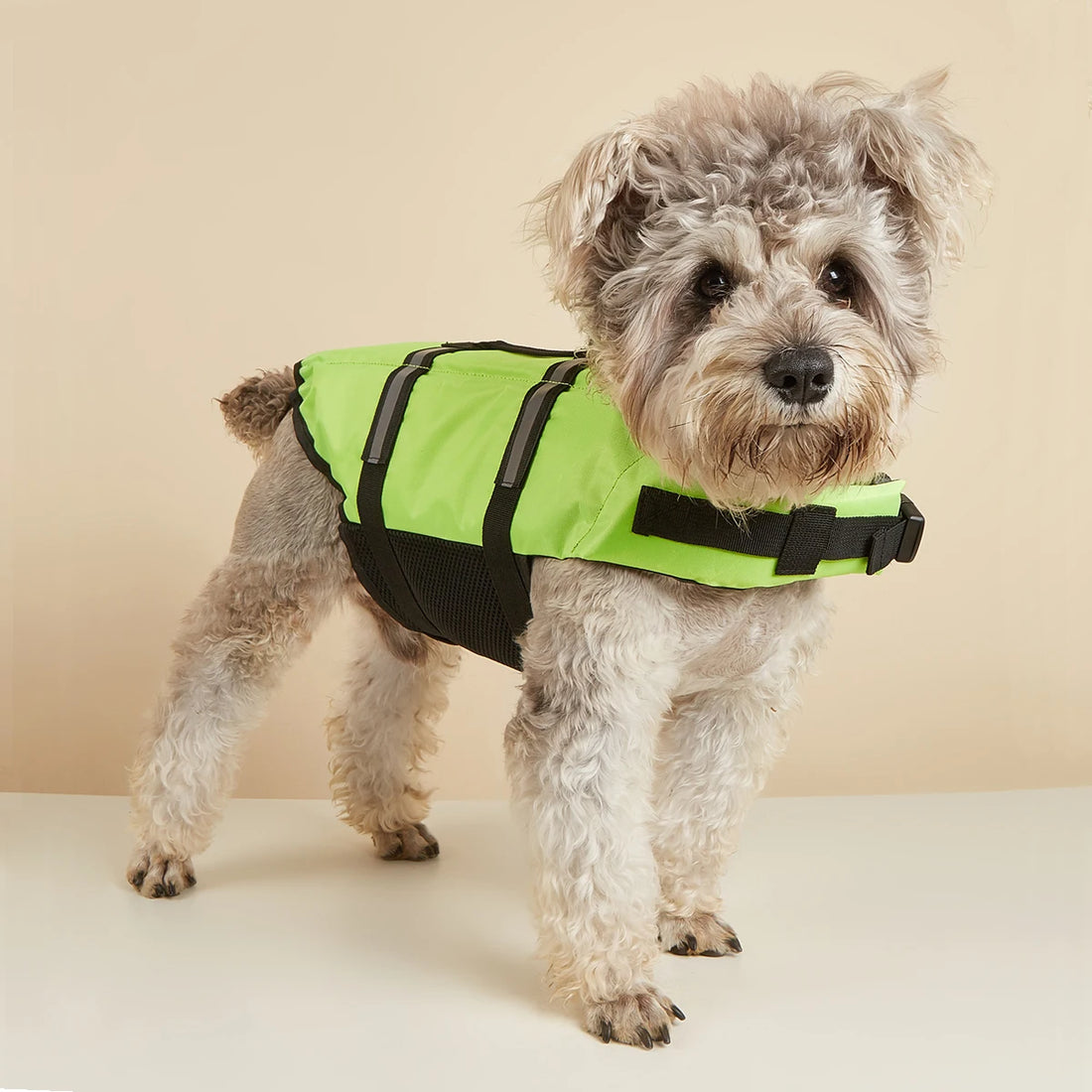 Reflective Adjustable Dog Life Jacket – High-Buoyancy Safety Vest for Large Dogs