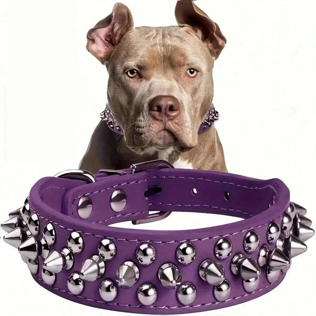 Dog Adjustable Rivet Collar