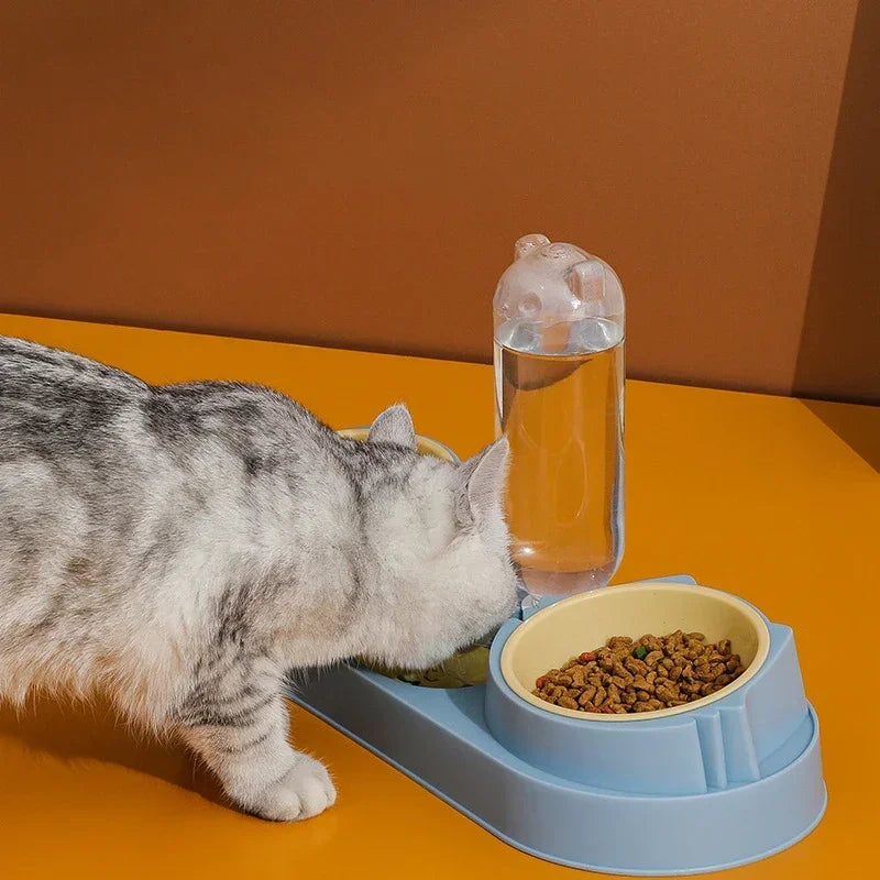 Automatic Cat Water & Food Bowl Set – Raised Double Bowls with Water Fountain | Elevated Pet Feeding Station for Cats & Small Dogs
