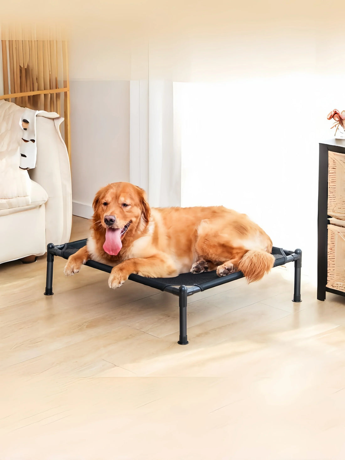 Elevated Folding Pet Bed – Portable Dog & Cat Camping Cot | Removable & Washable Cover | All-Season Kennel for Small to Medium Pets