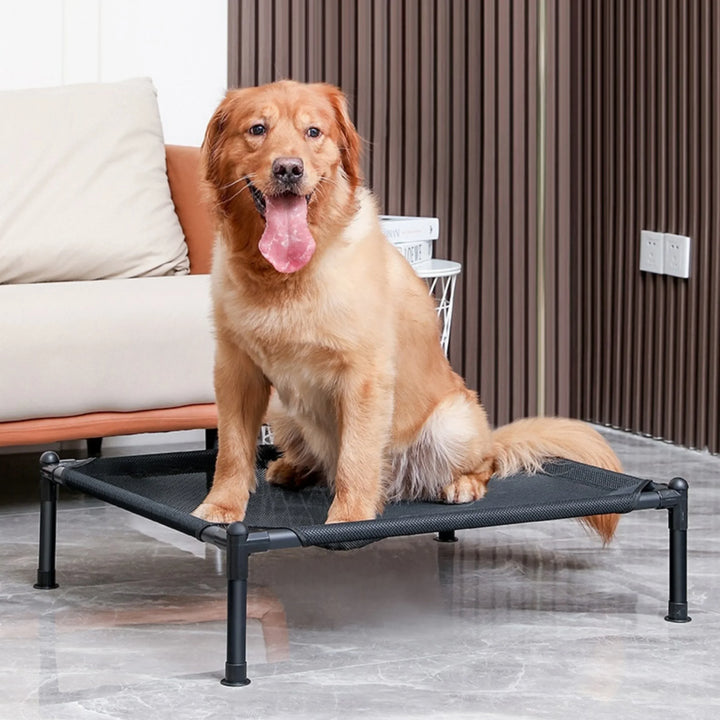Elevated Folding Pet Bed – Portable Dog & Cat Camping Cot | Removable & Washable Cover | All-Season Kennel for Small to Medium Pets