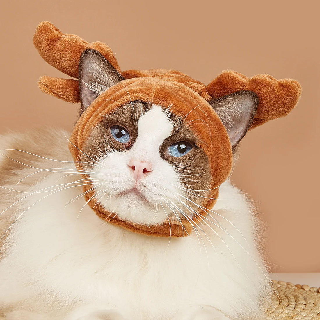 Pet Cosplay Party Costume – Shark & Elk Headdress | Warm Winter Hat for Cats & Dogs | Funny Dress-Up Outfit for Small Pets