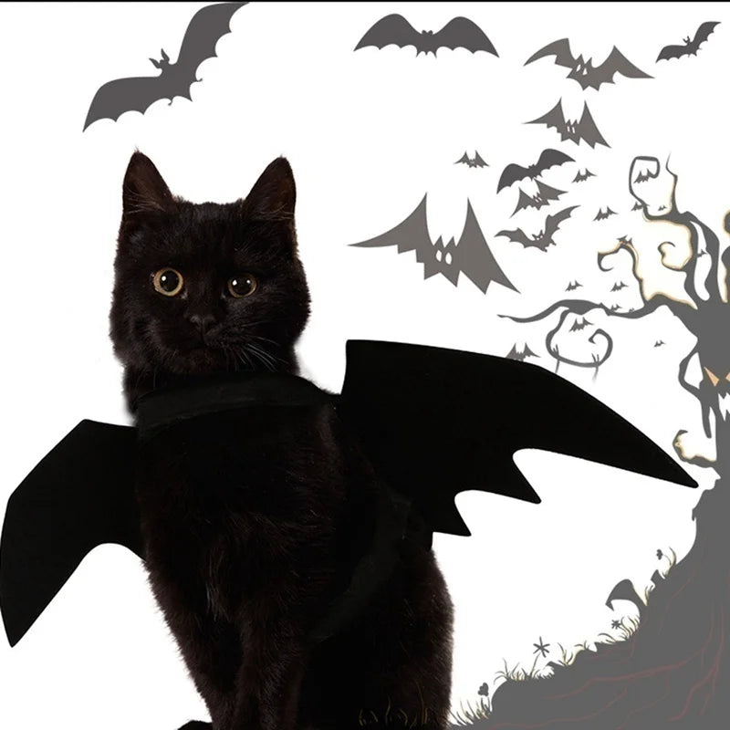 Halloween Bat Wings Costume for Cats & Dogs – Black Felt Harness Outfit | Pet Cosplay Party Clothes