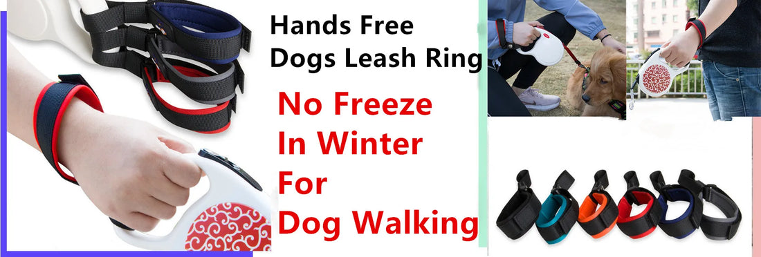 Double Leash with Detachable Dog Chains
