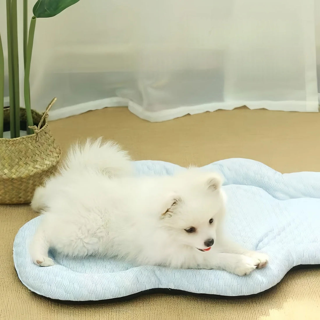 Pet Dog Cooling Pad – Waterproof, Machine Washable Summer Mat for Medium Dogs (Indoor & Outdoor Use)Pet Dog Cooling Pad – Waterproof, Machine Washable Summer Mat for Medium Dogs (Indoor & Outdoor Use)