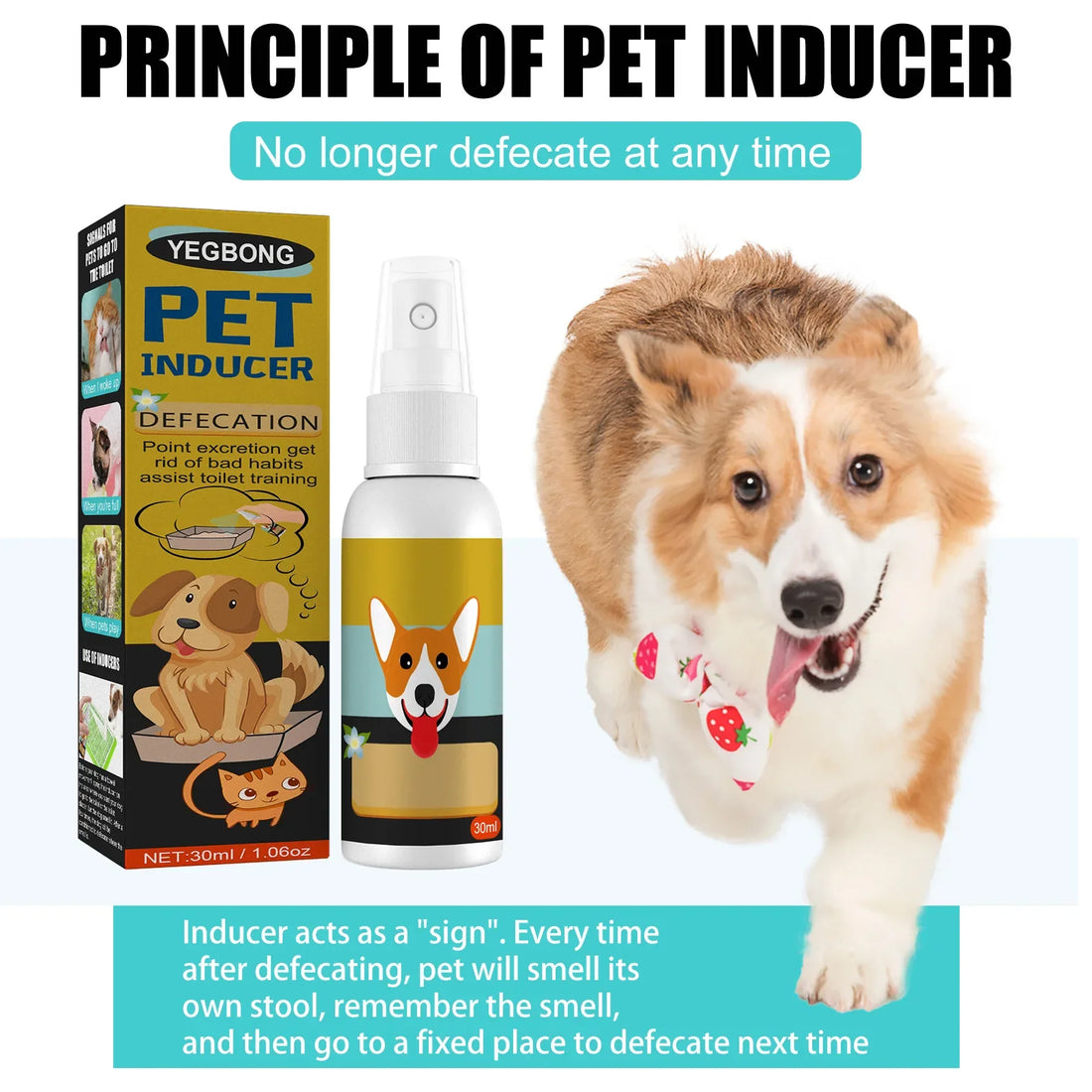 Pet Potty Training Spray for Dogs & Cats – 30ml Toilet Training Aid for Puppies, Kittens, Indoor & Outdoor Use – Urine & Poop Location Attractant – Defecation Inducer