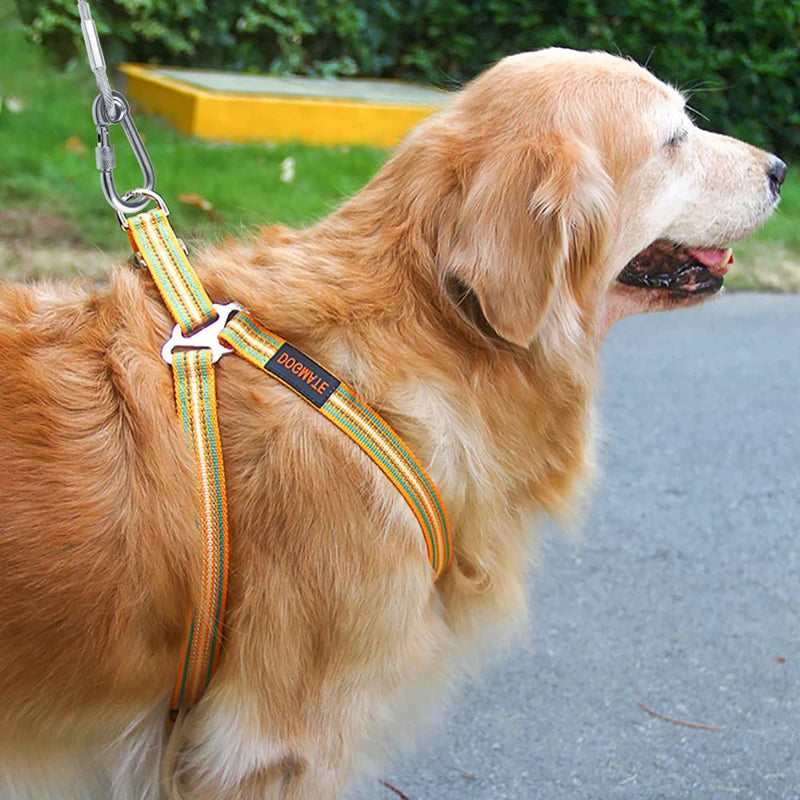 Heavy-Duty Double-Headed Dog Tie-Out Cable Leash – Stainless Steel, Multiple Lengths (6.6 ft to 49 ft)