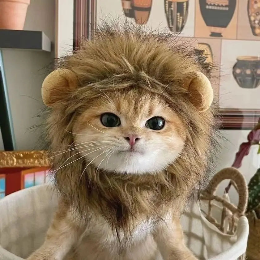 Lion Mane Cat Wig – Funny Pet Costume with Ears | Cosplay Hat for Cats & Small Dogs | Cute Pet Cap for Parties & Photos