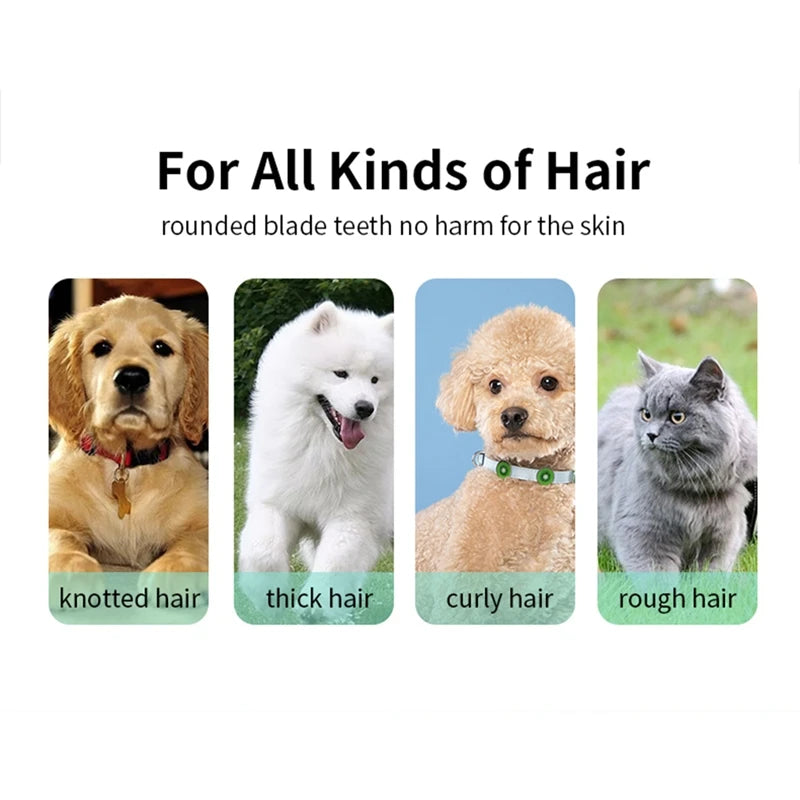 Waterproof Electric Pet Hair Clippers – Low Noise USB Rechargeable Grooming Trimmer for Kittens & Puppies