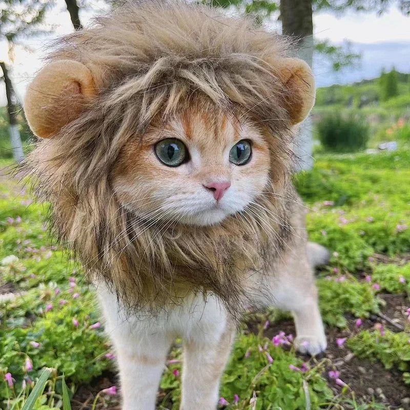 Lion Mane Cat Wig – Funny Pet Costume with Ears | Cosplay Hat for Cats & Small Dogs | Cute Pet Cap for Parties & Photos