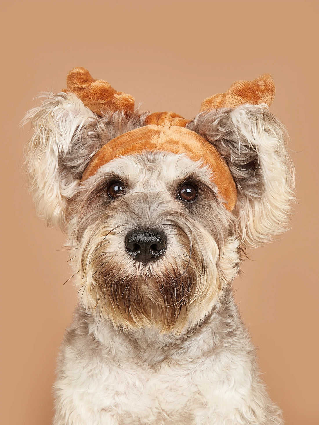 Pet Cosplay Party Costume – Shark & Elk Headdress | Warm Winter Hat for Cats & Dogs | Funny Dress-Up Outfit for Small Pets