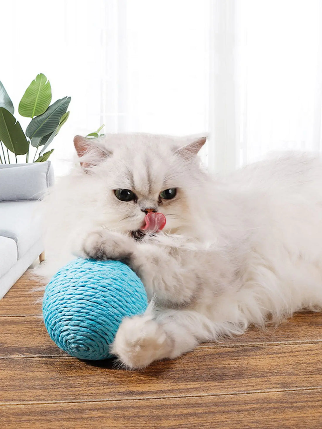 Sisal Cat Scratching Ball – Rotating Sound Toy for Indoor Play & Claw Training