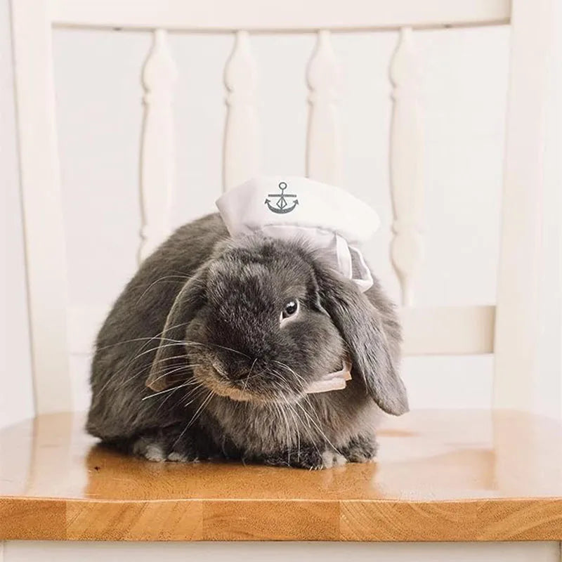 Funny Pet Navy Sailor Costume – Cat & Small Dog Halloween Cosplay Outfit with Adjustable Hat & Cloak