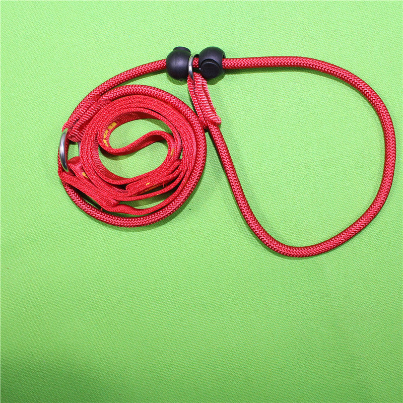 Heavy-Duty Dog Training Rope – P-Style Control Leash for Medium & Large Dogs