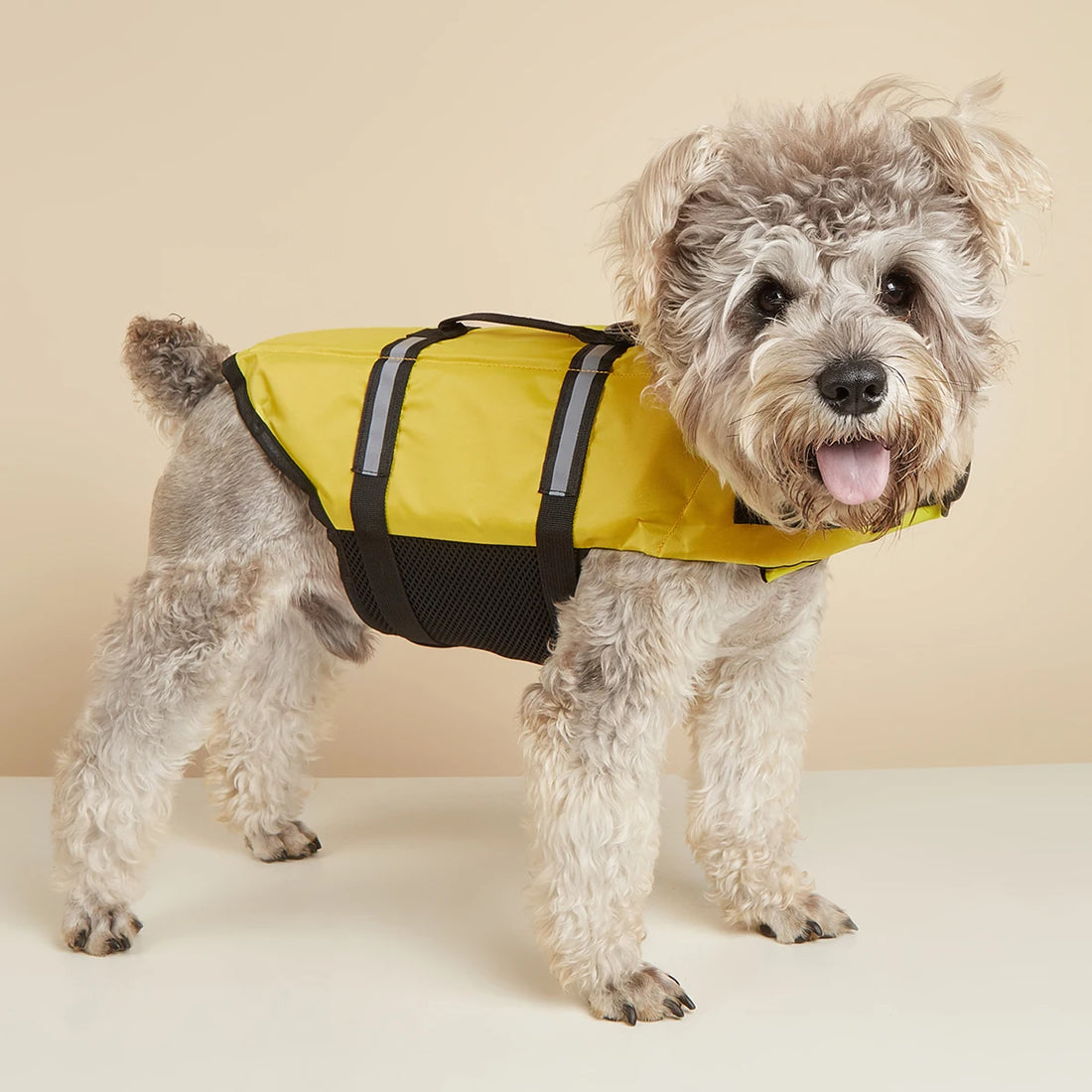 Reflective Adjustable Dog Life Jacket – High-Buoyancy Safety Vest for Large Dogs
