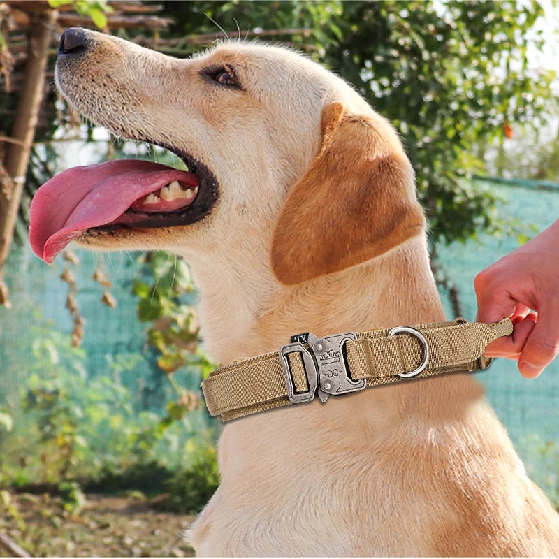 Pet Tactical Training Collar Leash Set -Reflective