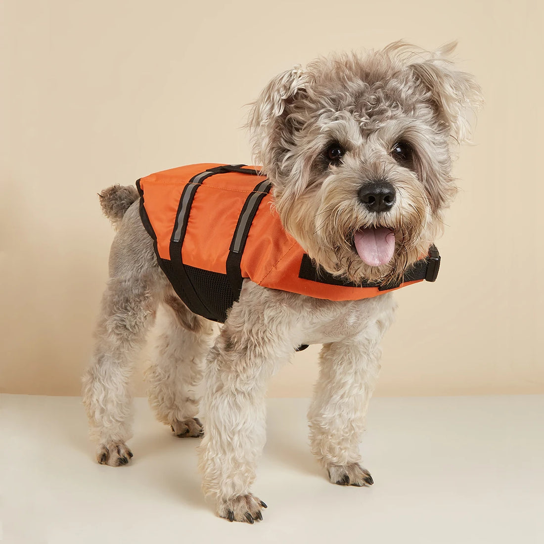 Reflective Adjustable Dog Life Jacket – High-Buoyancy Safety Vest for Large Dogs