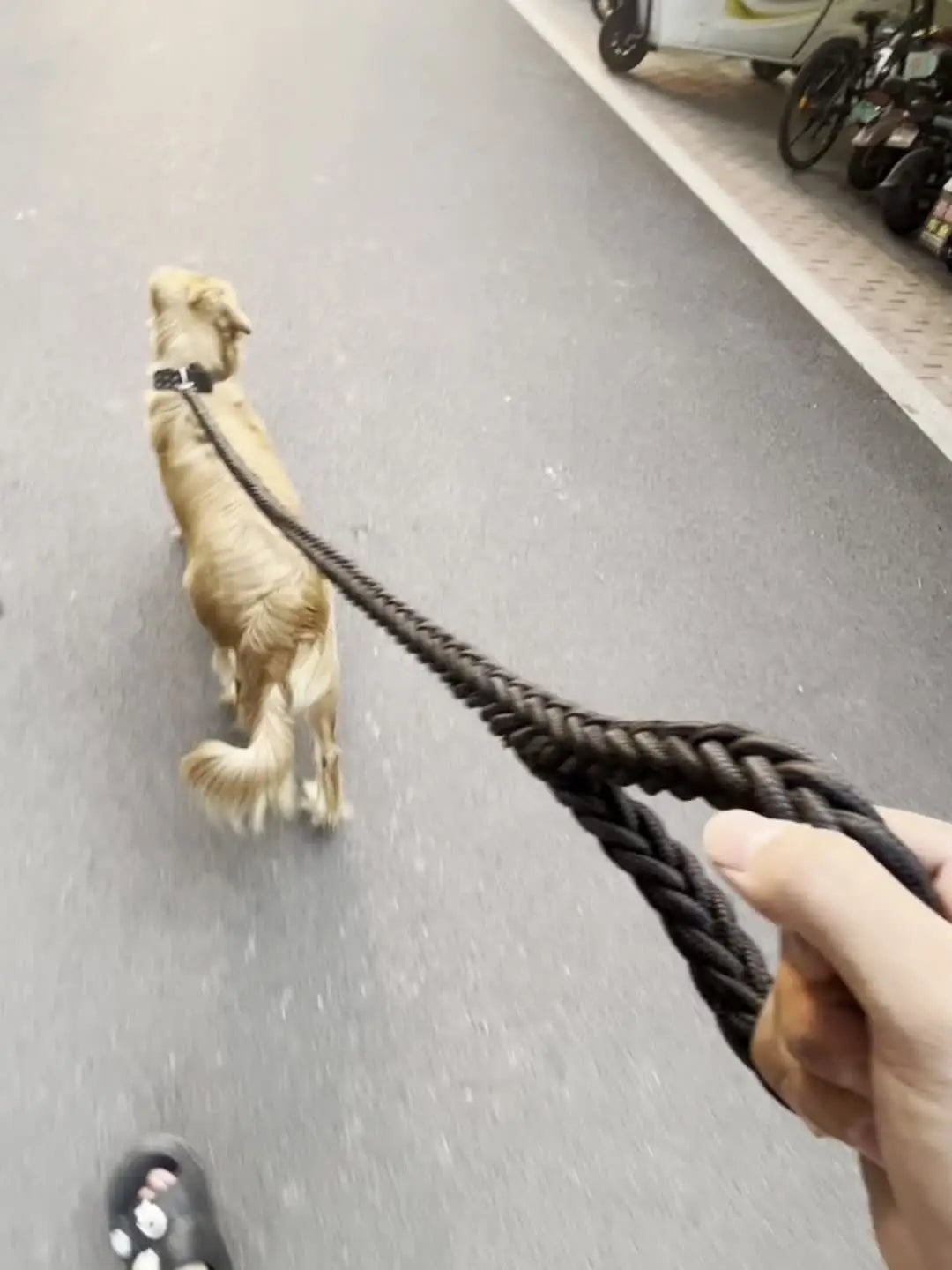 Dog leash for effective training and comfortable walking
