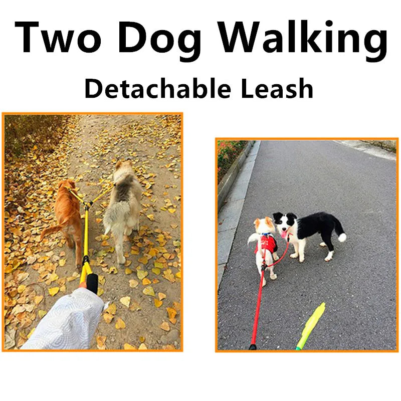 Double Leash with Detachable Dog Chains