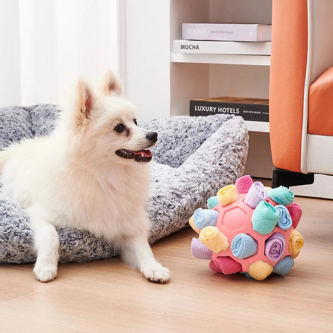 Sniffing Puzzle Toy for Dogs & Cats – Interactive Training Feeder with Hidden Treat Compartments