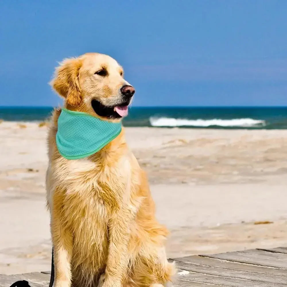 Cooling Bandana for Dogs – Super Absorbent Ice Towel Collar with Adjustable Carabiner | Reusable Summer Cooling Scarf for Medium & Large Dogs