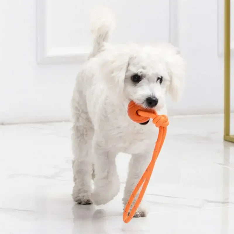 Interactive Dog Training Ball on Rope – Durable TPR Cotton Rope Toy for Catching, Tugging & Chewing