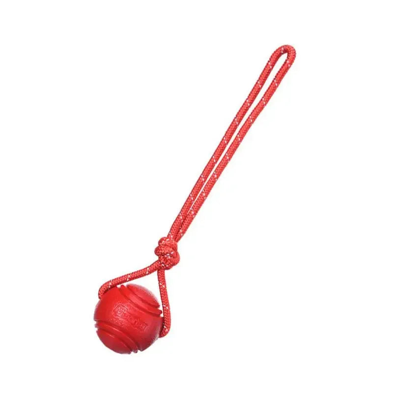 Interactive Dog Training Ball on Rope – Durable TPR Cotton Rope Toy for Catching, Tugging & Chewing