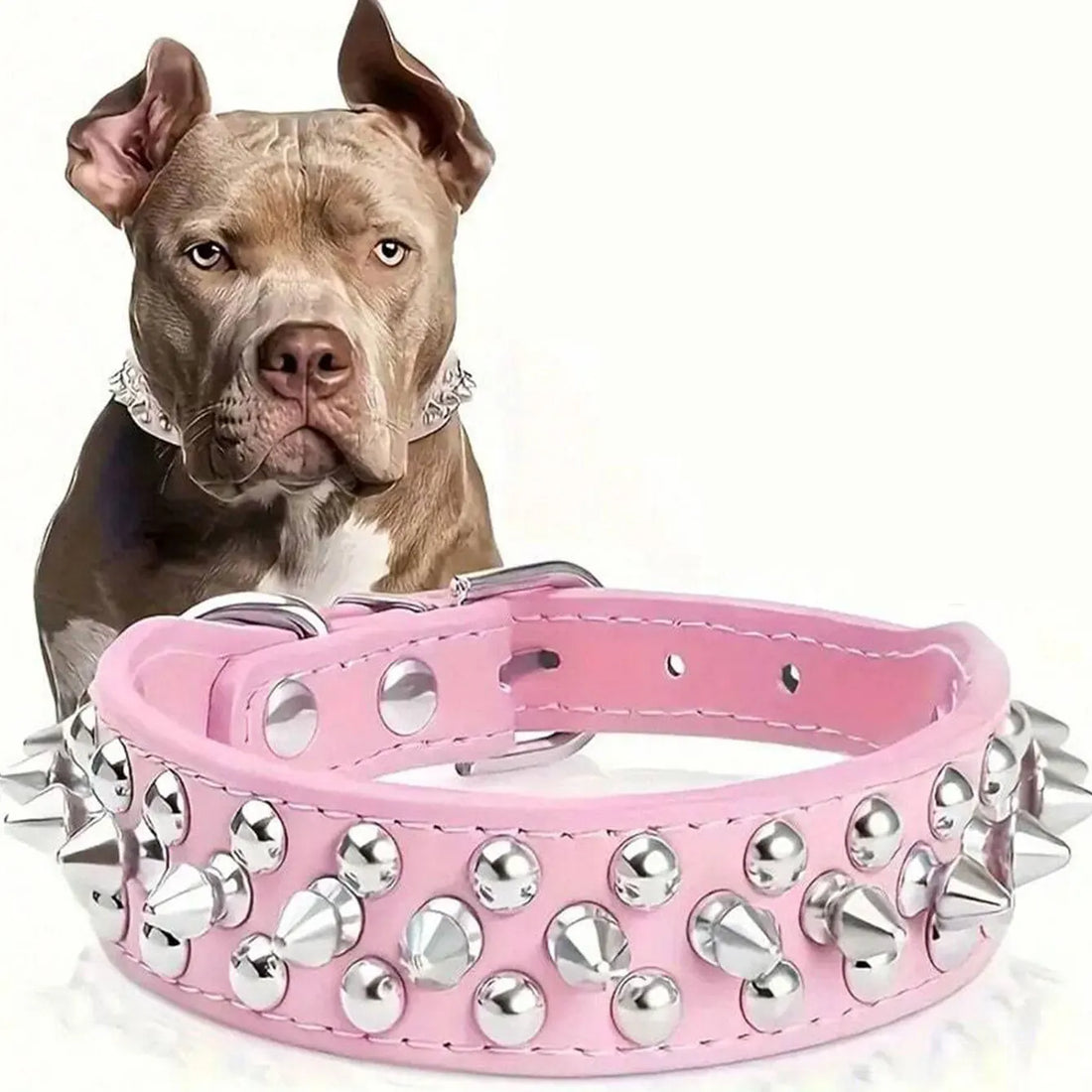 Dog Adjustable Rivet Collar