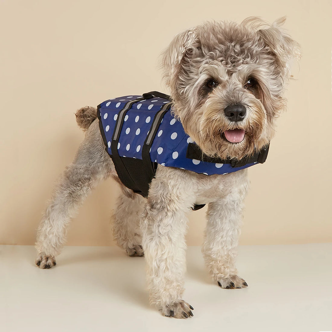Reflective Adjustable Dog Life Jacket – High-Buoyancy Safety Vest for Large Dogs