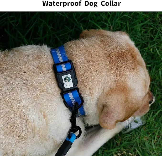 Waterproof Reflective Dog Collar – Adjustable, Anti-Odor, Durable Flex-Poly Design for Active Dogs