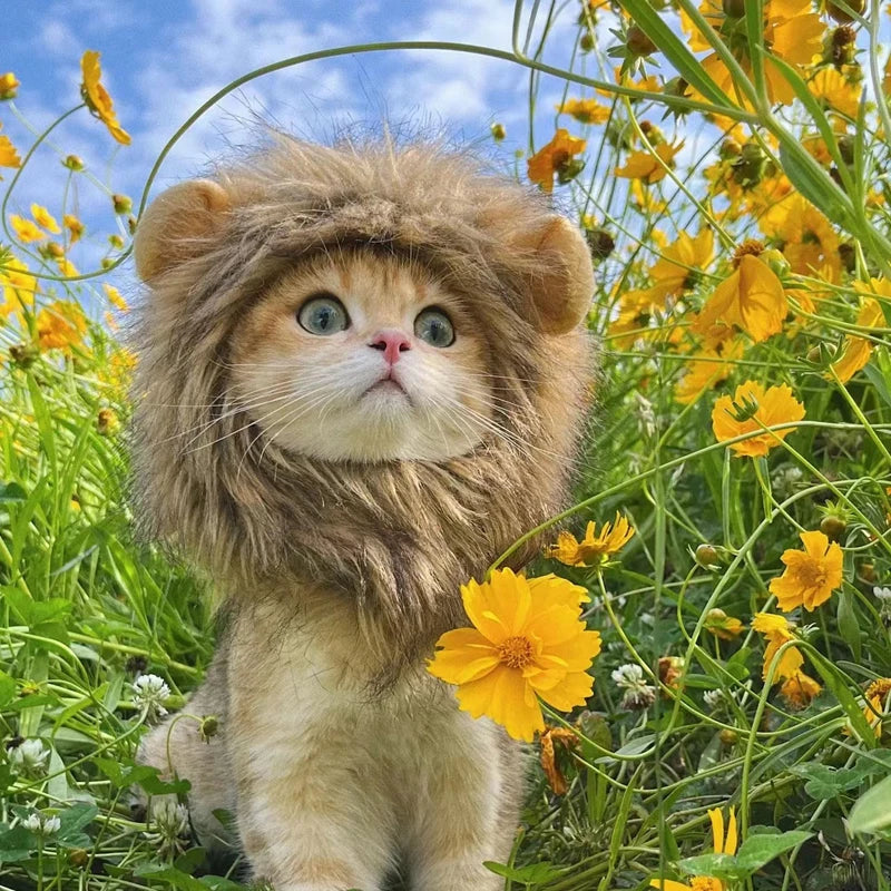 Lion Mane Cat Wig – Funny Pet Costume with Ears | Cosplay Hat for Cats & Small Dogs | Cute Pet Cap for Parties & Photos