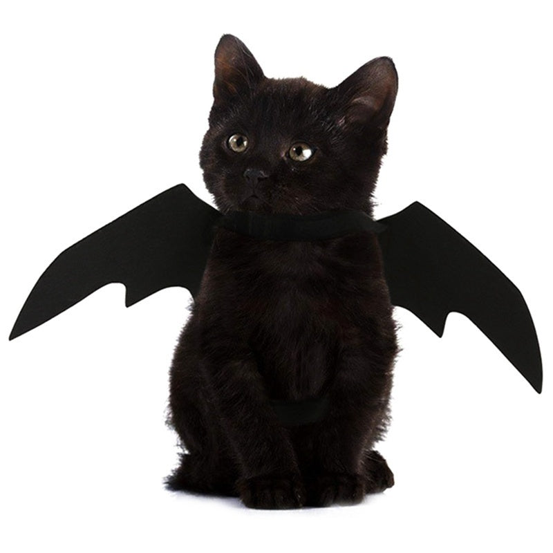 Halloween Bat Wings Costume for Cats & Dogs – Black Felt Harness Outfit | Pet Cosplay Party Clothes