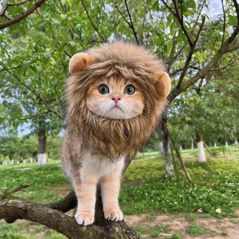Lion Mane Cat Wig – Funny Pet Costume with Ears | Cosplay Hat for Cats & Small Dogs | Cute Pet Cap for Parties & Photos