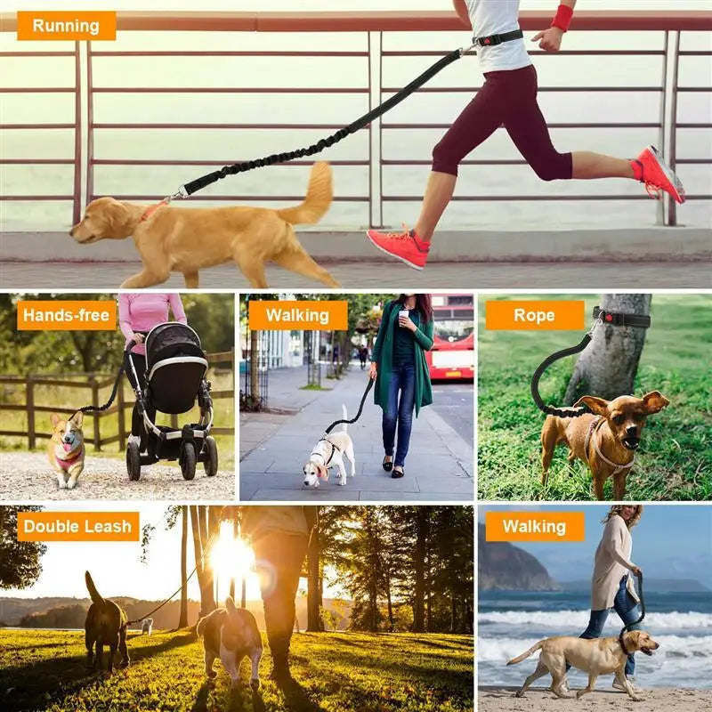 Hands-Free Dog Leash with Adjustable Waist Belt – Nylon Running & Walking Leash Set