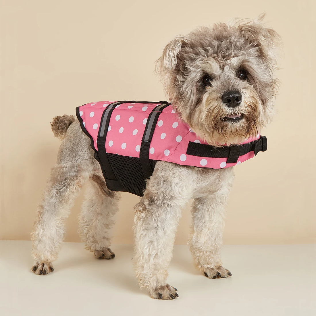 Reflective Adjustable Dog Life Jacket – High-Buoyancy Safety Vest for Large Dogs