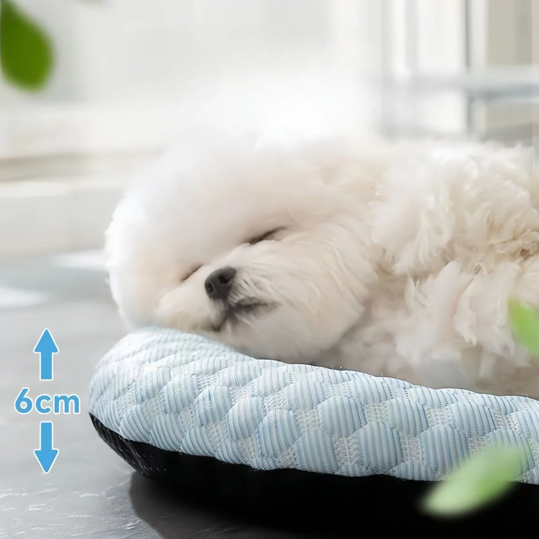 Pet Dog Cooling Pad – Waterproof, Machine Washable Summer Mat for Medium Dogs (Indoor & Outdoor Use)Pet Dog Cooling Pad – Waterproof, Machine Washable Summer Mat for Medium Dogs (Indoor & Outdoor Use)