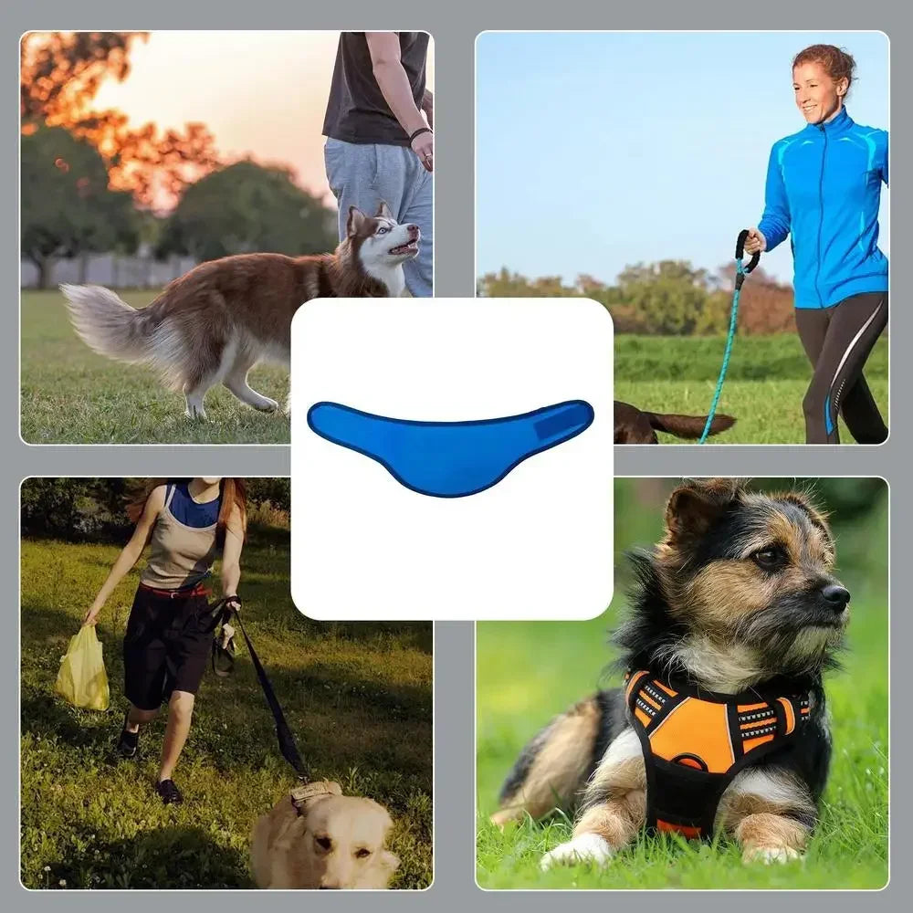 Cooling Bandana for Dogs – Super Absorbent Ice Towel Collar with Adjustable Carabiner | Reusable Summer Cooling Scarf for Medium & Large Dogs