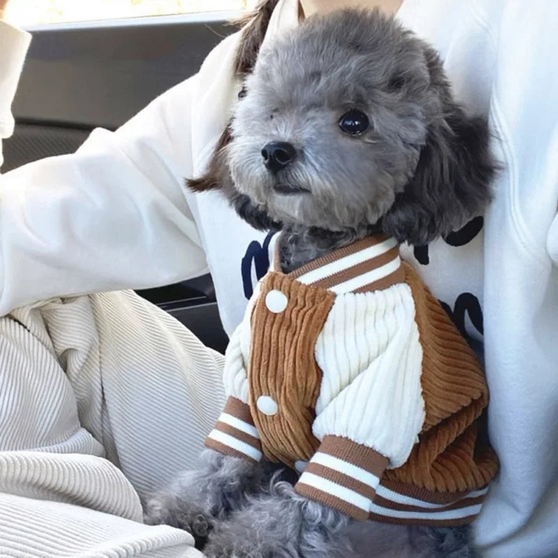 Embroidered Pet Baseball Jacket – Stylish Spring Coat for Small & Medium Dogs and Cats