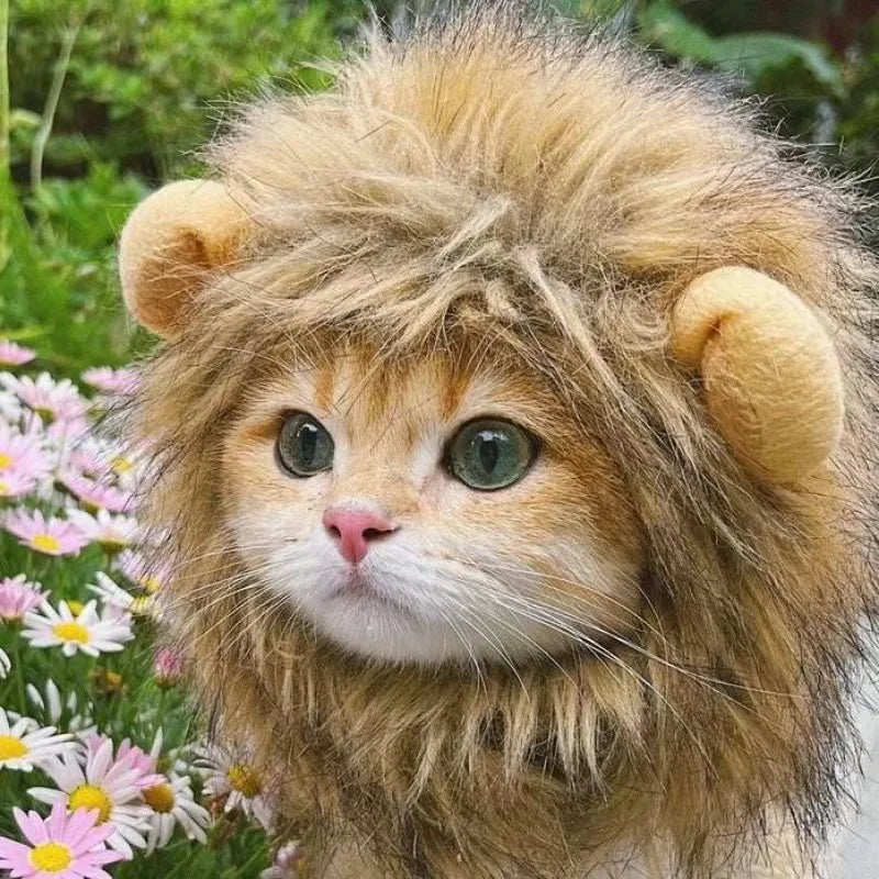 Lion Mane Cat Wig – Funny Pet Costume with Ears | Cosplay Hat for Cats & Small Dogs | Cute Pet Cap for Parties & Photos