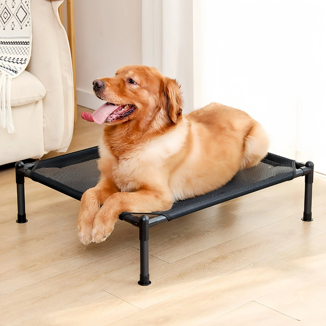 Elevated Folding Pet Bed – Portable Dog & Cat Camping Cot | Removable & Washable Cover | All-Season Kennel for Small to Medium Pets